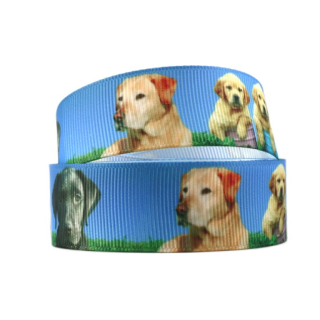 25mm Dog House Ribbon