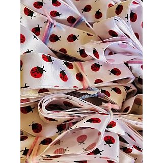 25mm Little Ladybird Ribbon (2 metres)
