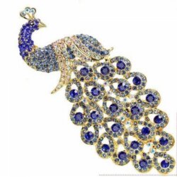 Brooches