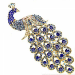Brooches
